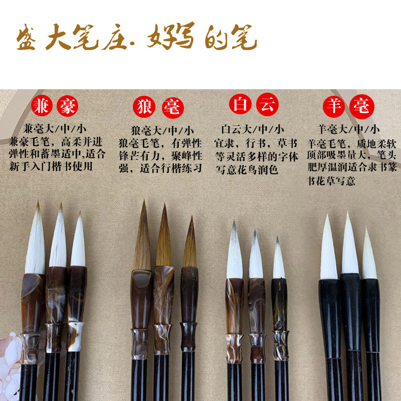 Brush Calligraphy Special Beginner Wolf Sheep and Hair Chinese Painting Wolf Hair Brush Calligraphy Introductory Training Baiyun Sheep Hair Brush
