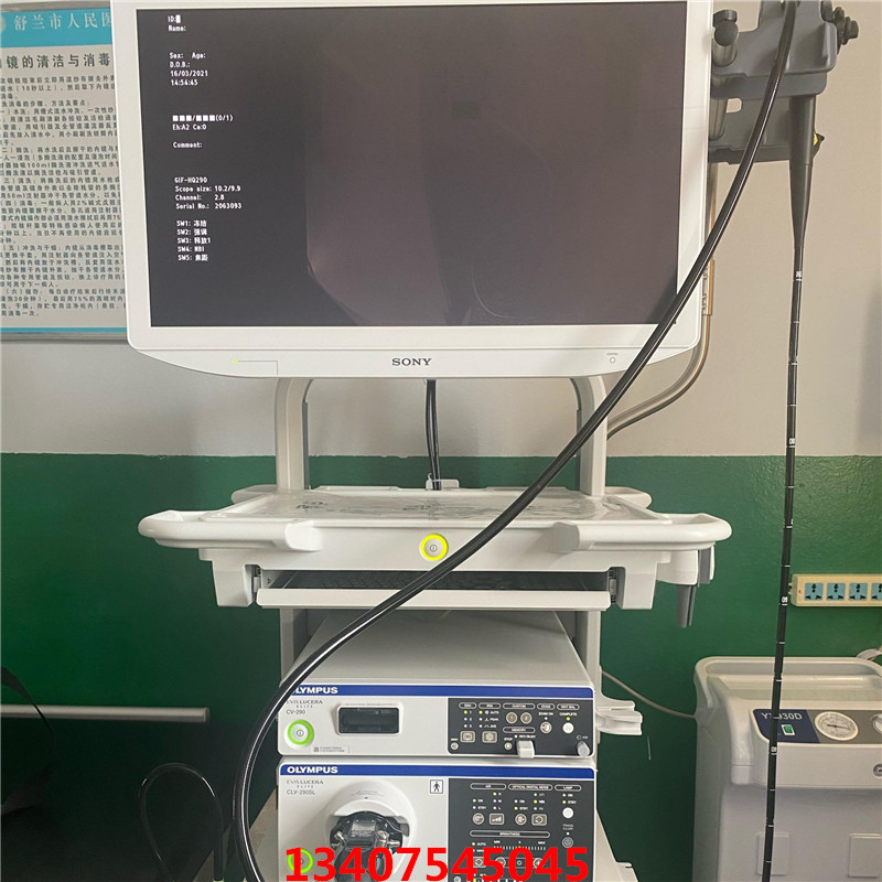 Olympus 290 Endoscopy Introduction GIF-HQ290 Gastroscopy CF-HQ290L/I Colonoscopy