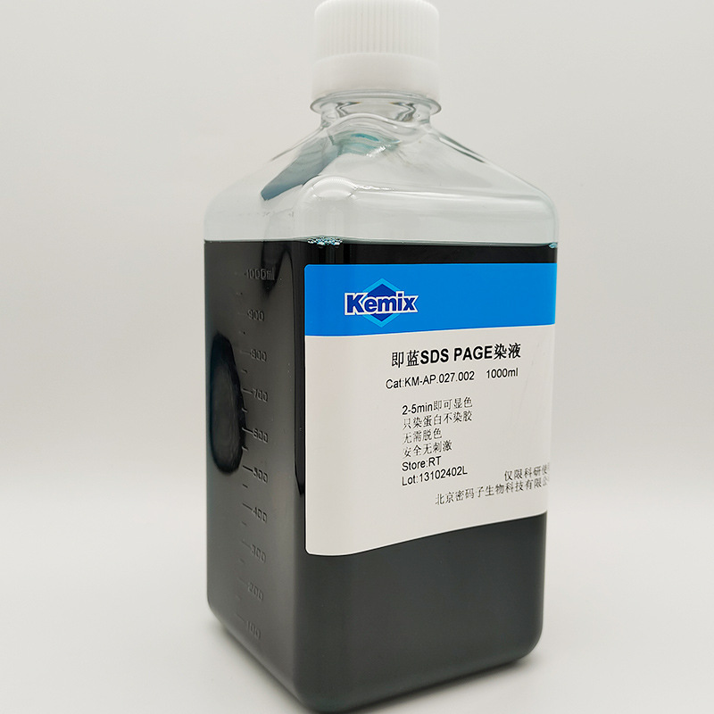 SDS PAGE fast protein staining solution WB experiment protein biochemical experiment factory supply