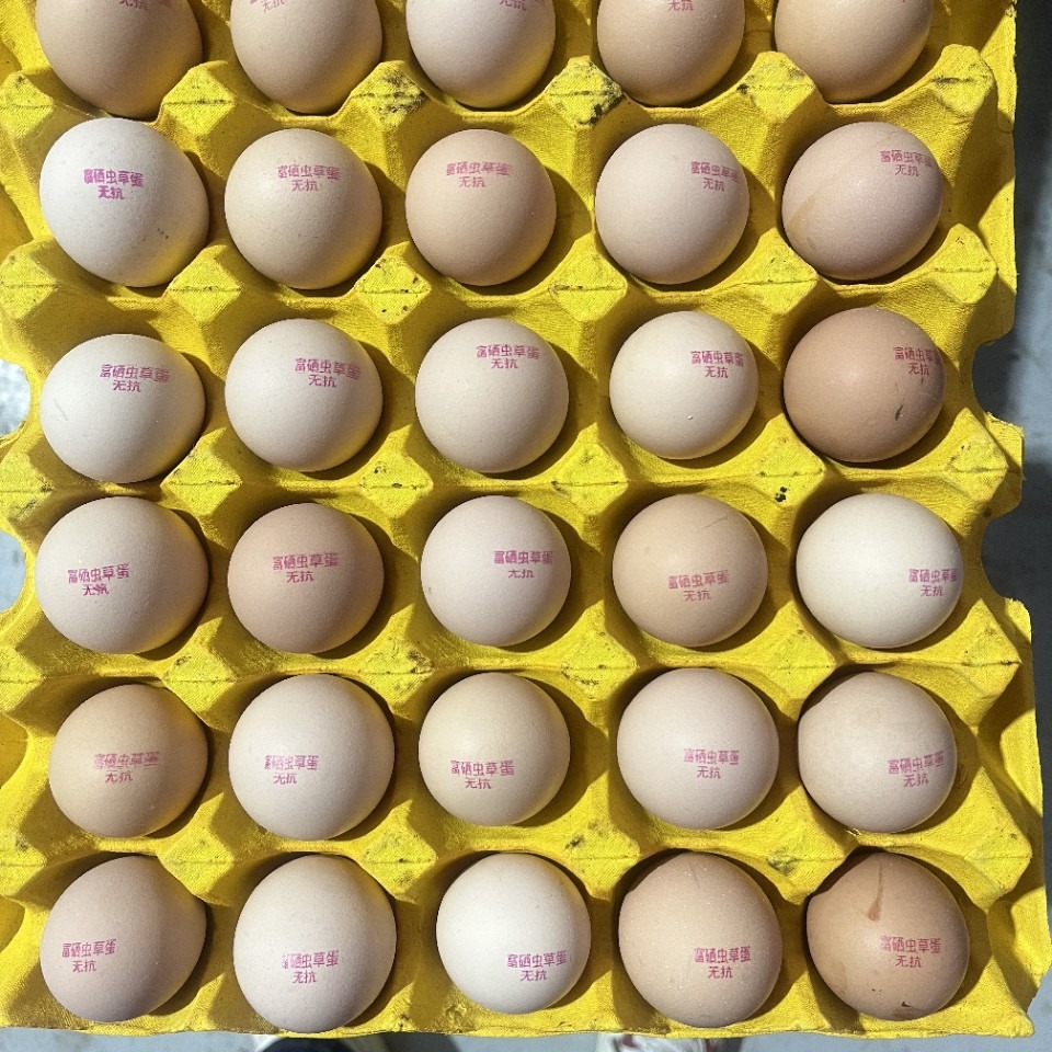 Selenium-Rich Egg-Free Cordyceps Eggs, Fresh Local Eggs, 360 Selenium-Rich Red Heart Eggs