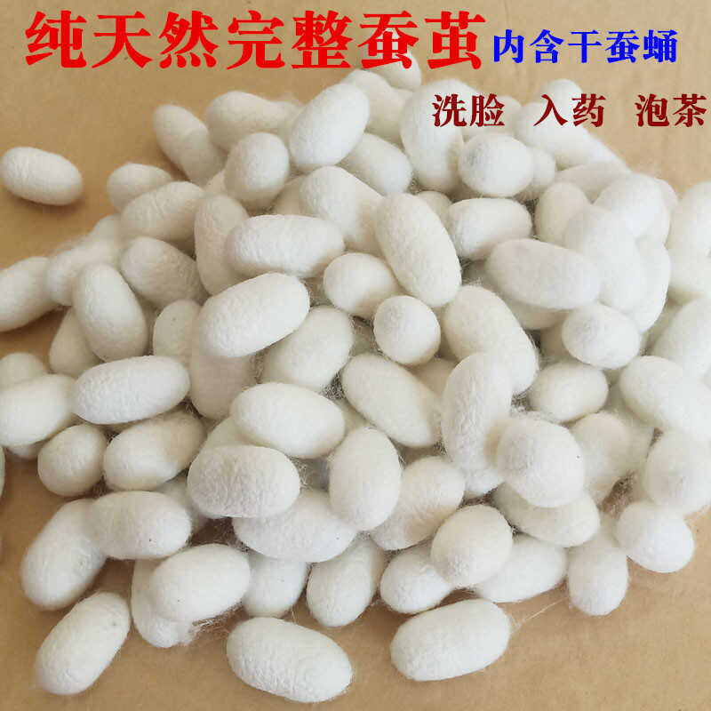 Natural mulberry cocoon drying complete with silkworm chrysalis golden cocoon student handmade DIY silk fan silk fan