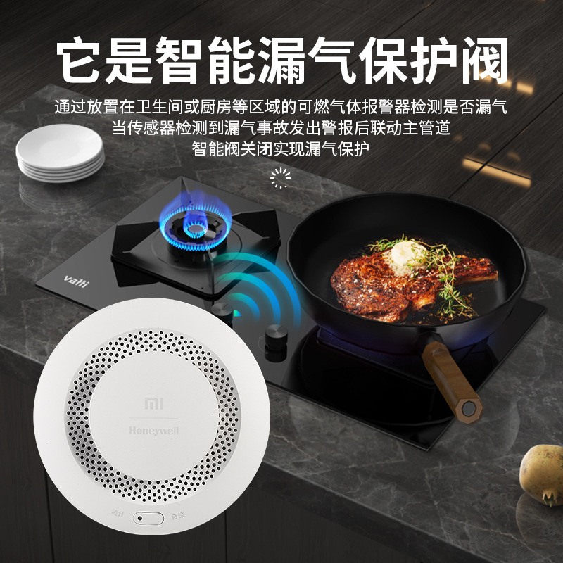 Shuixiang Has Integrated with Mijia Smart Water Leak Protection Valve, Water Immersion Guard Sensor, Gas Alarm, and Self-Closing Valve