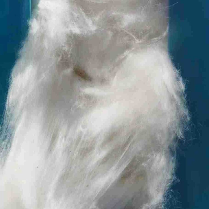 Factory Direct Sales of Cotton for Cotton Spinning, 85 Cotton - 95 Cotton, Pure Cotton Without Fluorescence