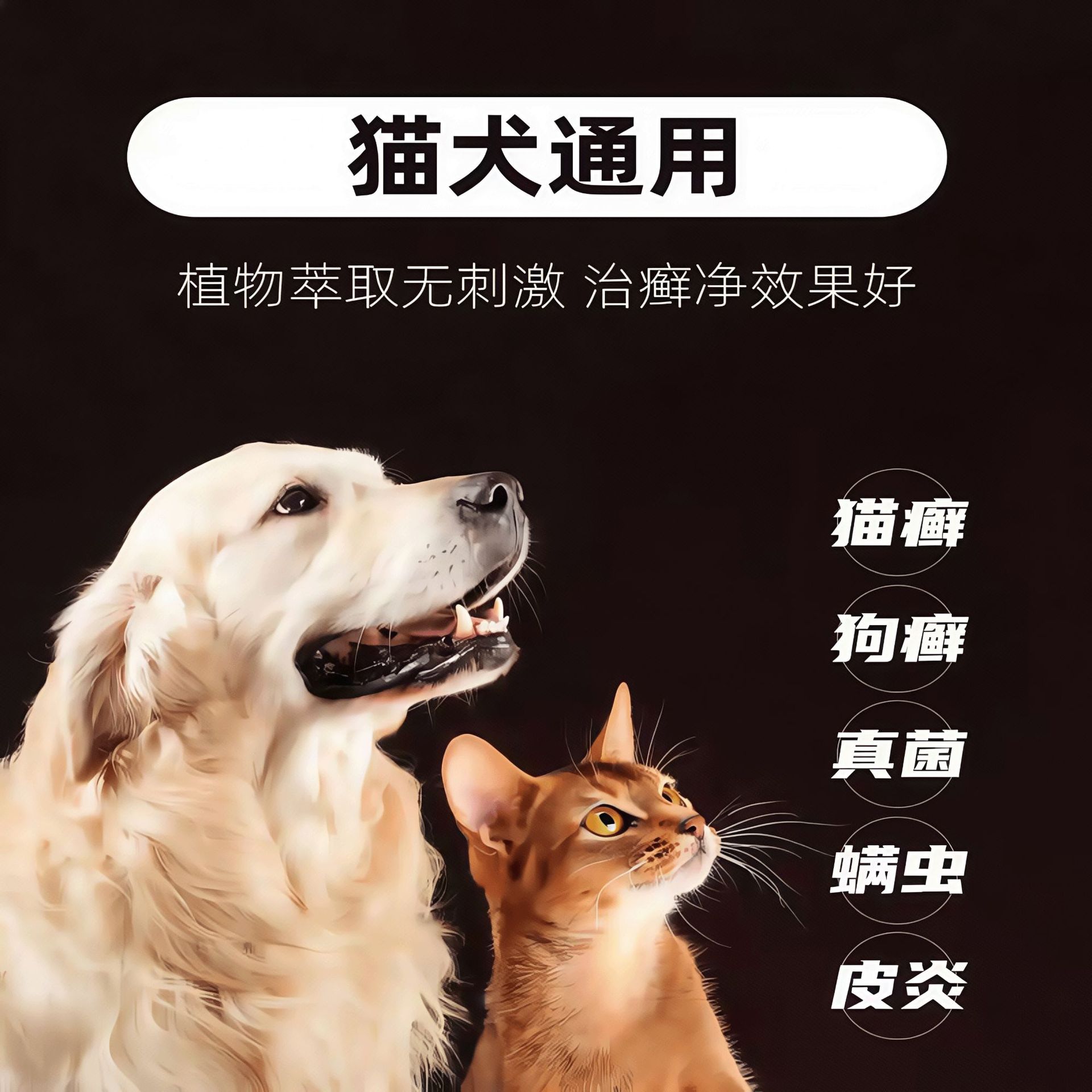 Pet Ringworm Net Tablets, Dog Moss, Cat Moss, Cat and Dog Skin Problems, Cat Dandruff Removal, Red Rash, Special Ringworm Net for Dogs and Cats