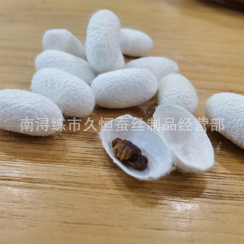 Mulberry silk white cocoon with chrysalis silk fan cocoon to make silk quilt wholesale and retail