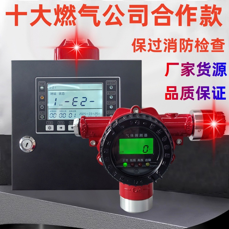 Hydrogen Toxic and Harmful Gas Detector Industrial Explosion-Proof Combustible Gas Detector H2 Concentration Leak Alarm