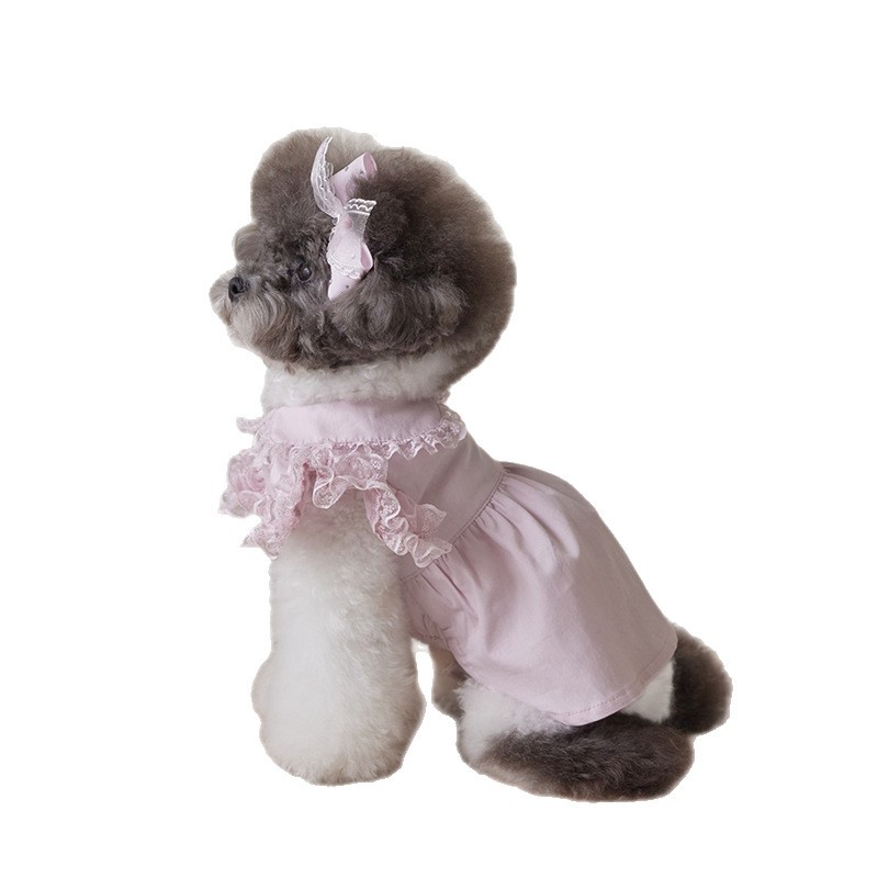 Pet Clothes for Dogs and Cats, Autumn and Winter Lace Flying Sleeves, Lady Dress Manufacturer, Small Teddy Bears