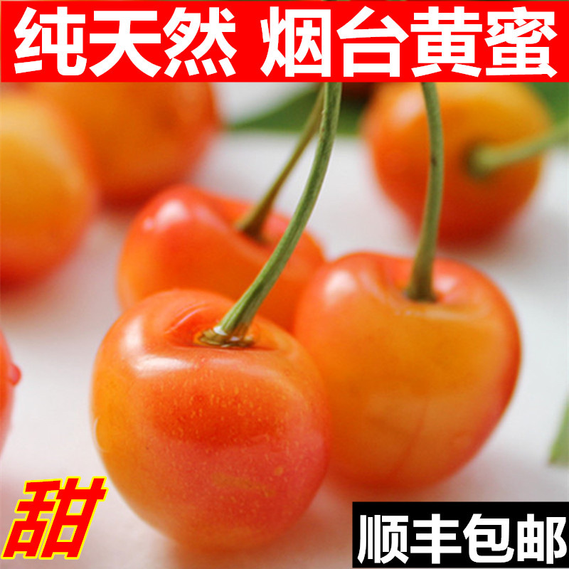 Shandong Yellow Cherry Open-air Yantai Citrine Yellow Honey Gold Rainey Cherry 5 Fruit Fresh