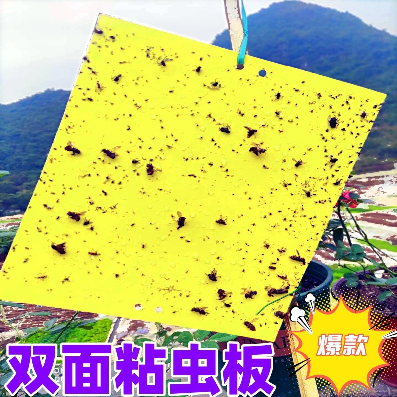 Stickworm Board Double-sided Stickworm Board Yellow Blue Board Yellow Board Trap Board Yellow Blue Integrated Stickworm Board Manufacturers Foreign Trade Amazon