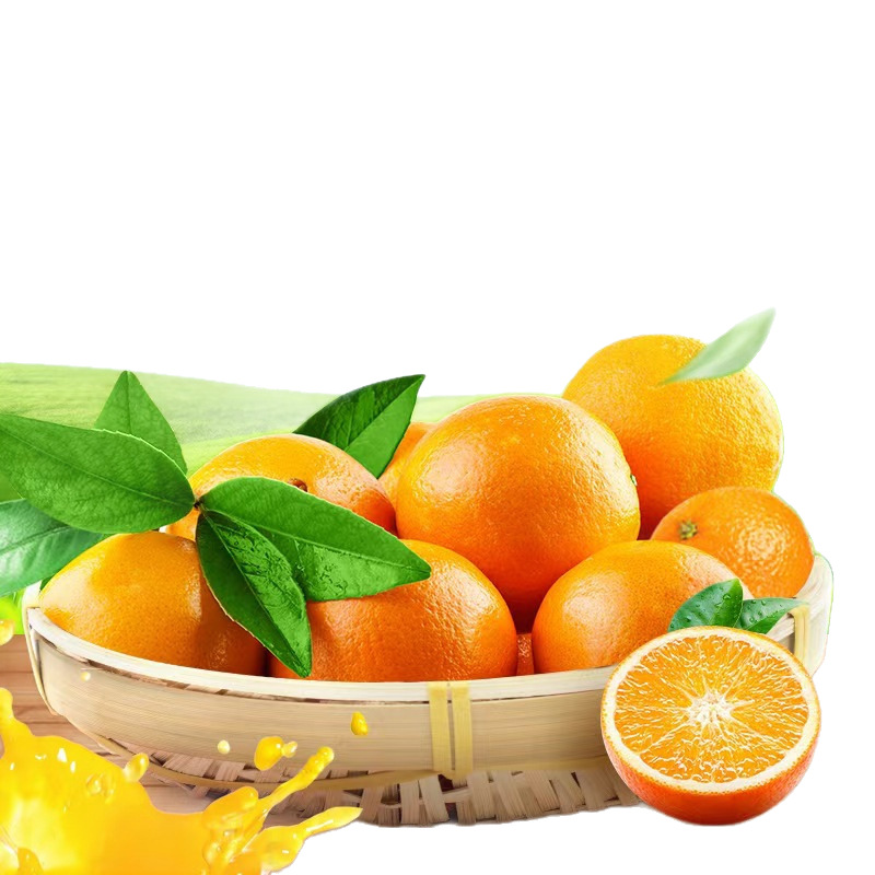 Jiangxi Authentic Gan Nan Navel Oranges Fresh Vitamin C Fruit Seasonal Premium Whole Box 10kg 20 Gift Box Oranges Wholesale