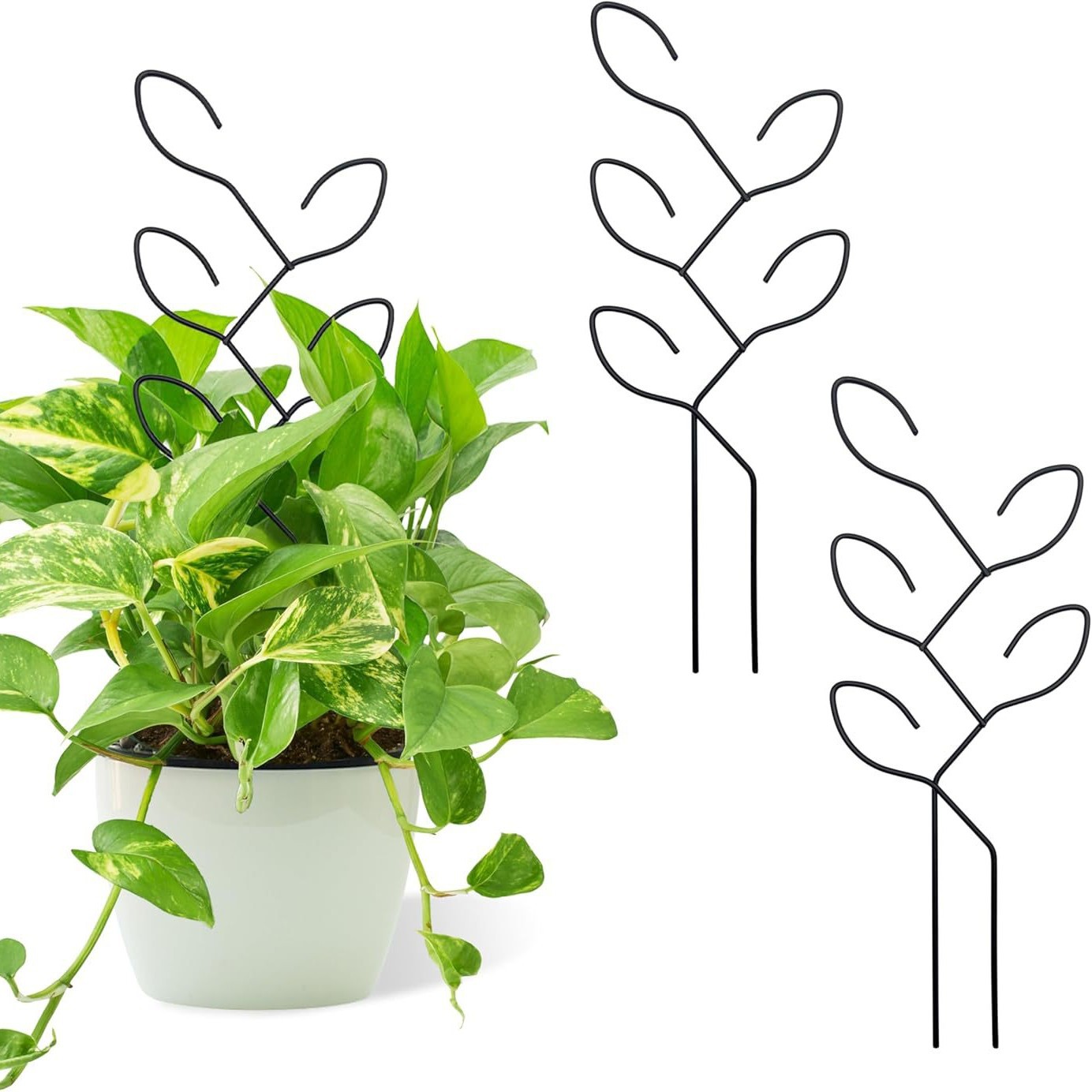 Креативная опора для вьющихся растений, фиксированная стойка