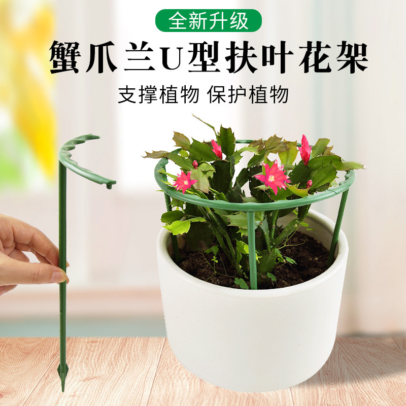 Crab Claw orchid stand succulent sunflower Bamboo orchid anti-lodging special flower stand climbing vine leaf support shape