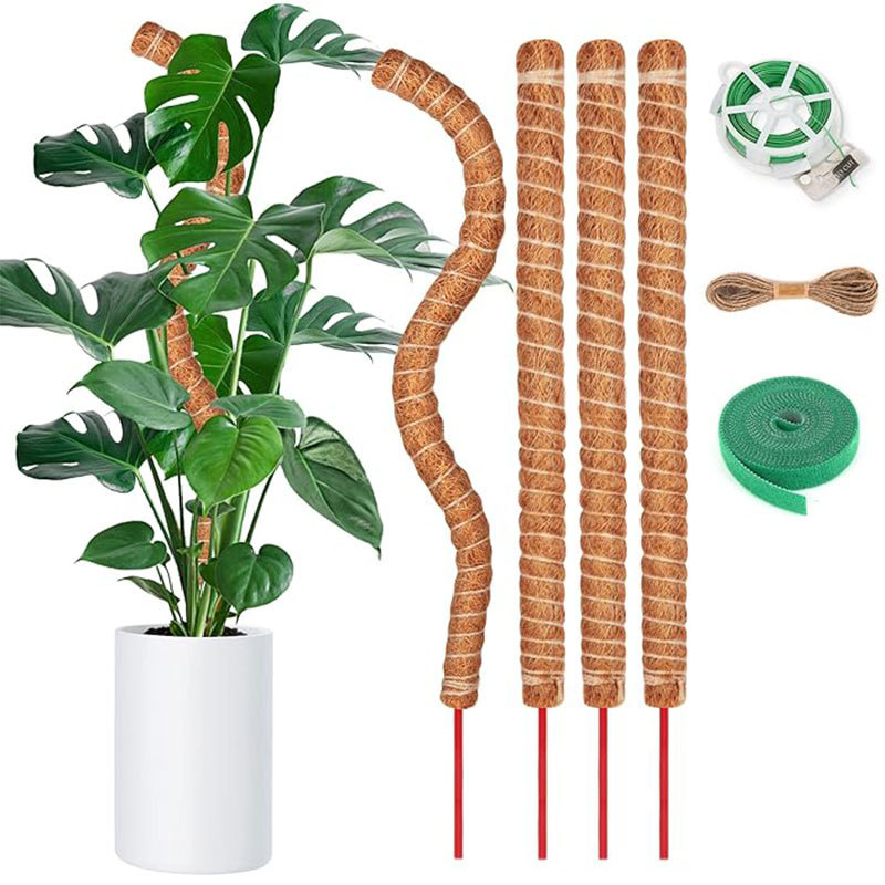 Гибкий моховый стержень, поддержка растений, кокосовое волокно, для вьющихся растений