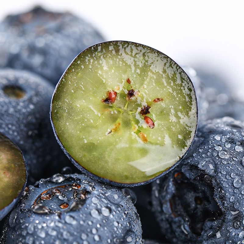 Fresh Blueberries from Yunnan, Freshly Picked and Seasonal Fruits, Fresh Blueberries, Fruit Orchard Picking for Pregnant Women