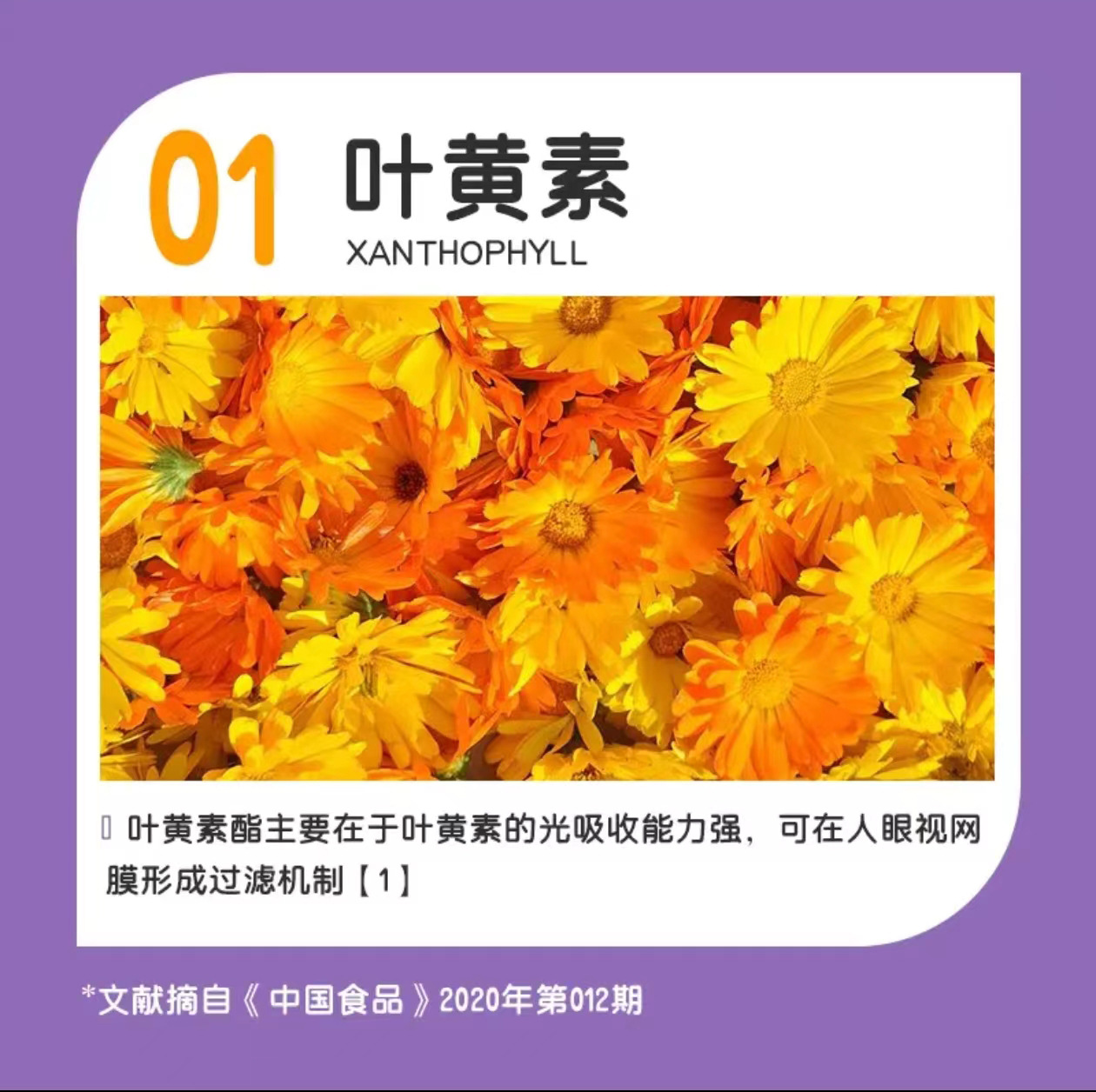 Blueberry Lutein Lipid Black Currant Black Wolfberry Chewable Tablets Tablets Candy 120 Tablets Blurred Vision Eye Nutrition