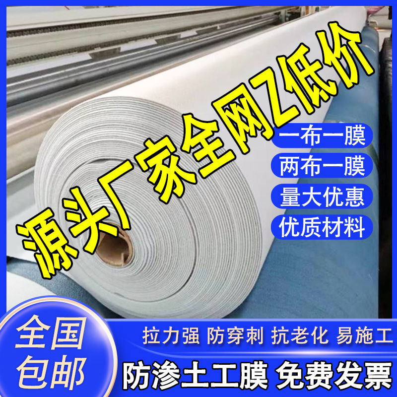 Collection of Geomembrane Waterproof Slope Protection 1424 Anti-Seepage Mermaid Pool Special Pe Moisture-Proof Reservoir Composite Hd Two