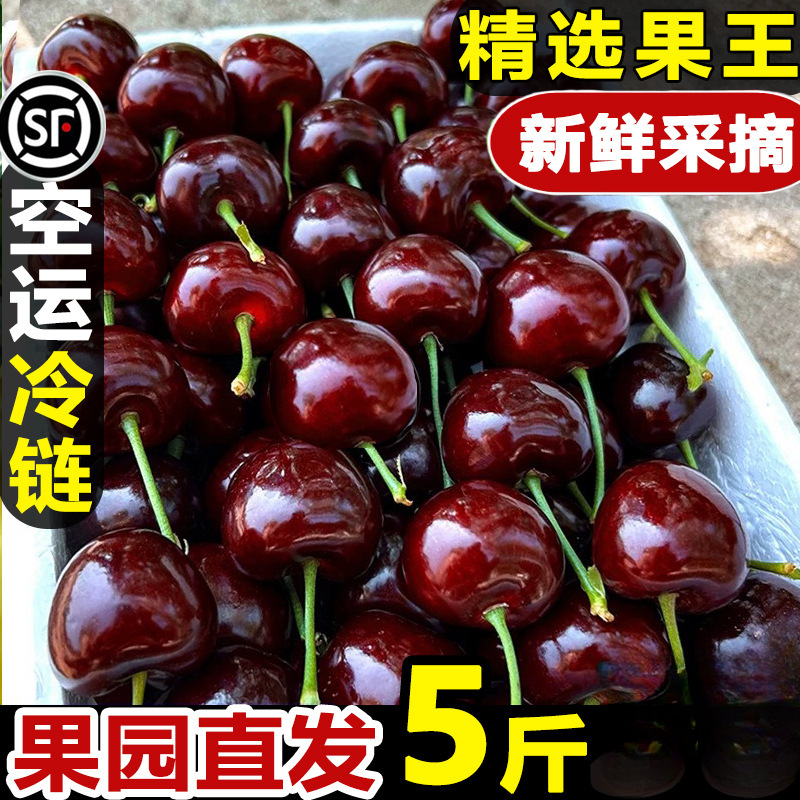 Шаньдун Мейзао большие вишни свежесобранные вишни большие сезонные целая коробка 2.5кг фрукты для беременных J