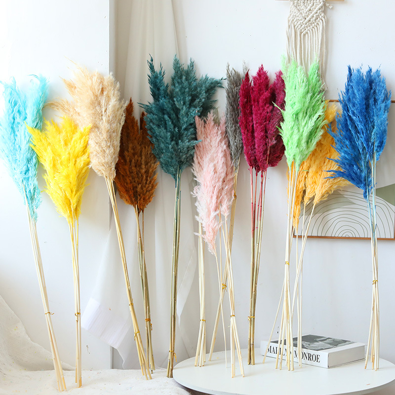 Оптовая продажа маленьких цветков тростника, сухие цветы, DIY украшения, пампасная трава, маленькие щеточки, воздушные растения