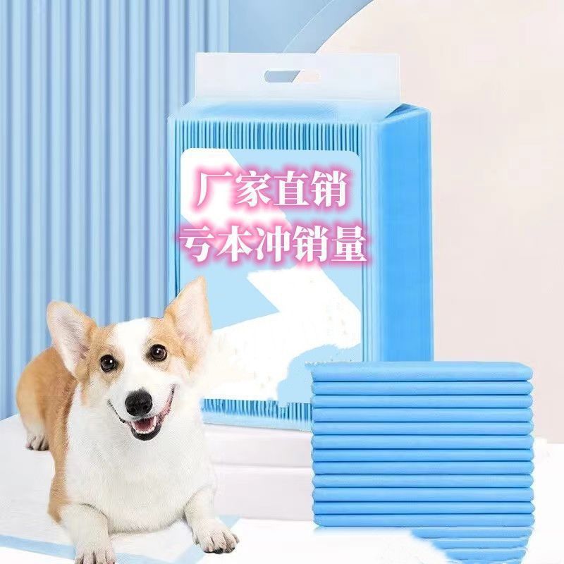 Free Dog Pee Pad Thickened Pet Special Deodorizing Cat Pee Pad Diaper Absorbent Urine Pad