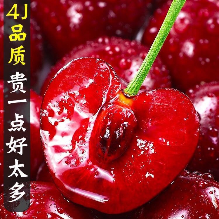 Hh [Sf Express] Tianshui Big Cherry Alpine Open-Air Orchard Freshly Picked Fruits Produced in Gansu