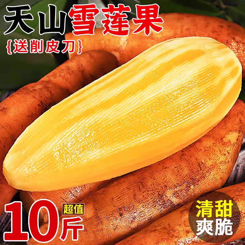 Yunnan Tianshan Snow Lotus Root Freshly Digged Seasonal Fruit Whole Box Free Shipping Wholesale 10-0.5kg Fresh Direct Delivery