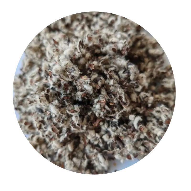 Xinjiang in stock cottonseed shell wholesale mushroom edible mushroom mushroom cultivation matrix water retention breathable cotton residue oil field