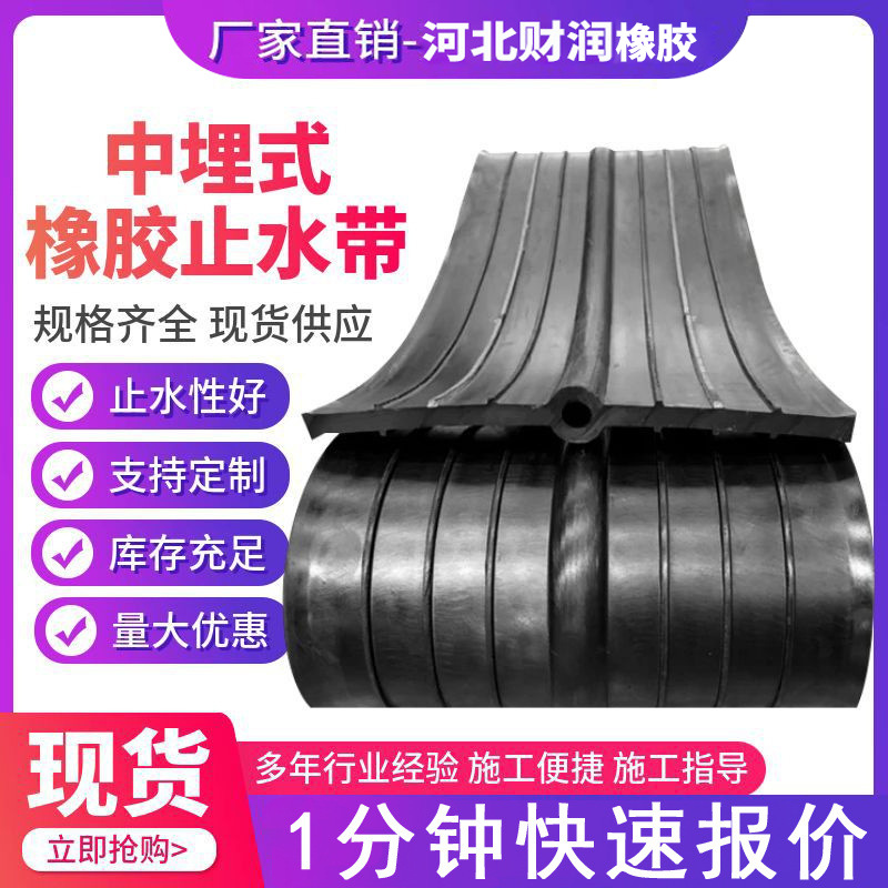 Embedded Rubber Waterproofing Strip for Tunnel Construction and Industrial Use, Embedded Type 651 and 652 Waterproofing Products