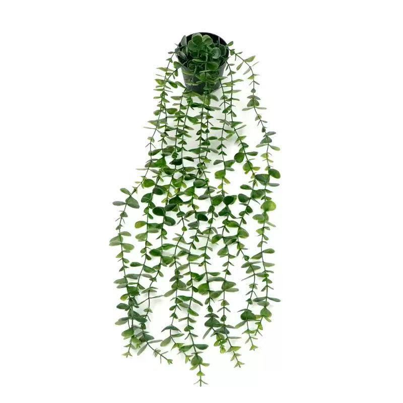 Cross-border simulation Eucalyptus mandala potted pea pod hanging eucalyptus leaves potted green plants decorative bonsai