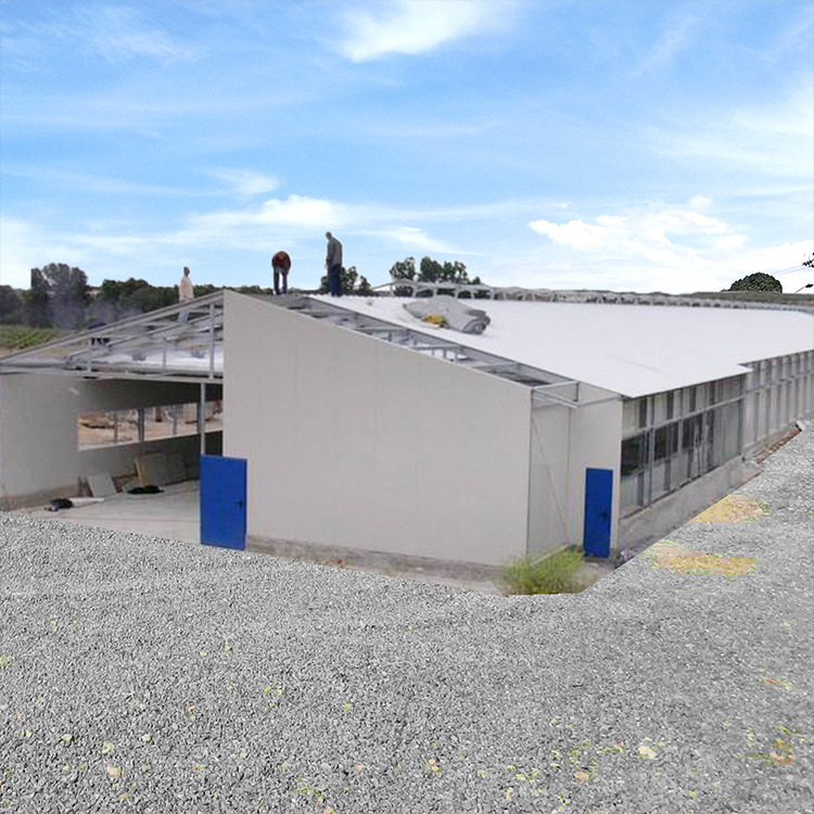 Steel Structure Chicken Coop Export Manufacturer Produces Quick Construction Low-Cost H-Shaped Steel Structure Chicken Coop