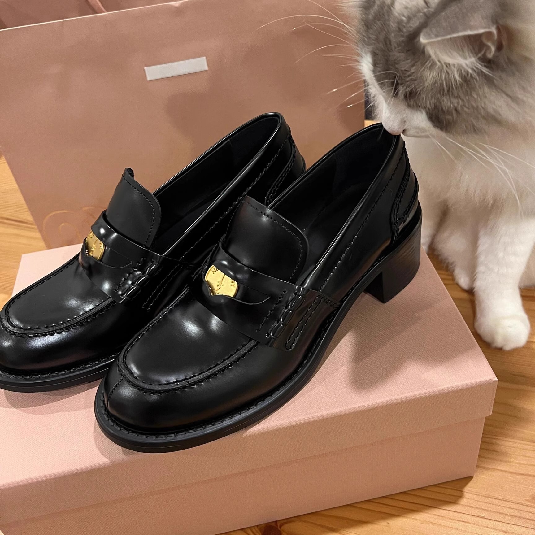 Sheepskin Version ~ Genuine Leather British Style Small Gold Coin Slip-On Thick Heel Thick-Soled Loafers Women's High-Heeled Flats Small Leather Shoes
