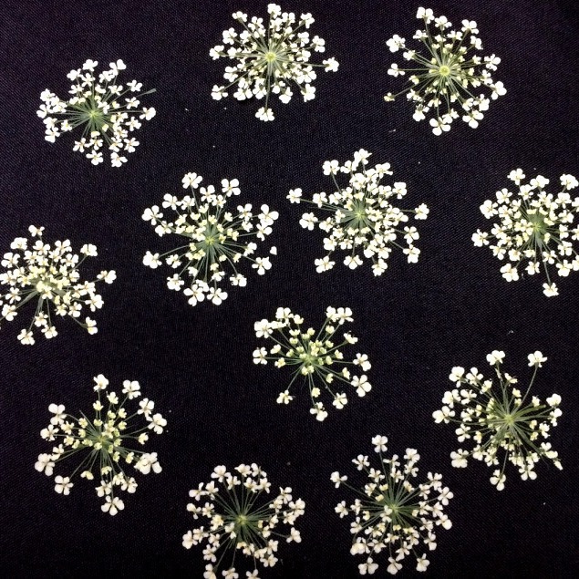 Dried flower factory wholesale lace flower snow bead flower star flower nail art dried flower glue mobile phone shell art flower