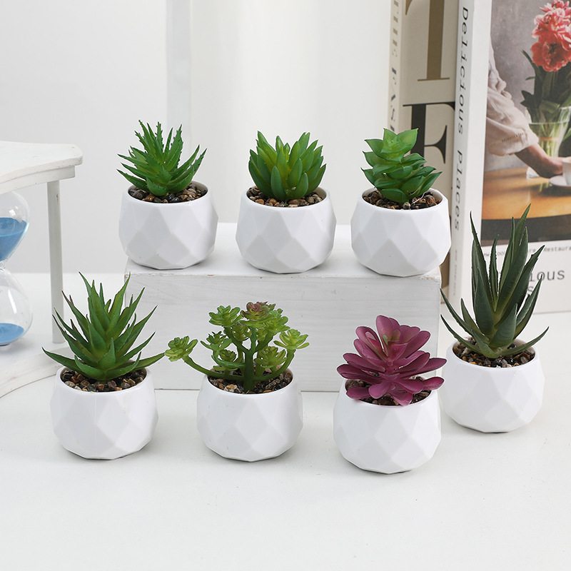 Ready-Made Artificial Succulent Potted Plants, Diamond Imitation Ceramic Plastic Pots, Cross-Border Hot-Selling Home Landscaping Decoration Ornaments Wholesale