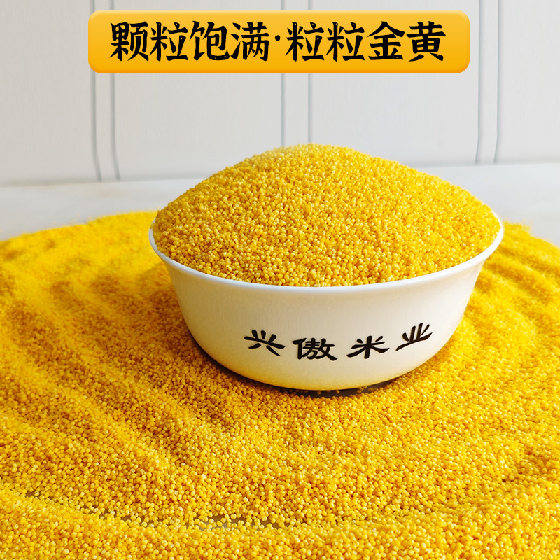 Jinqiuxiang Inner Mongolia Chifeng Xunhan Xiaomi 2.5kg Stand-Up Bag Farmhouse Category Millet Miscellaneous Grains K1 Yellow Millet