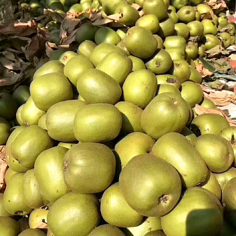 Sichuan Pujiang Red Heart Kiwi Fruit Delivery 15/30 Fresh Fruit Sweet and Sour Red Heart Kiwi Domestic Kiwi