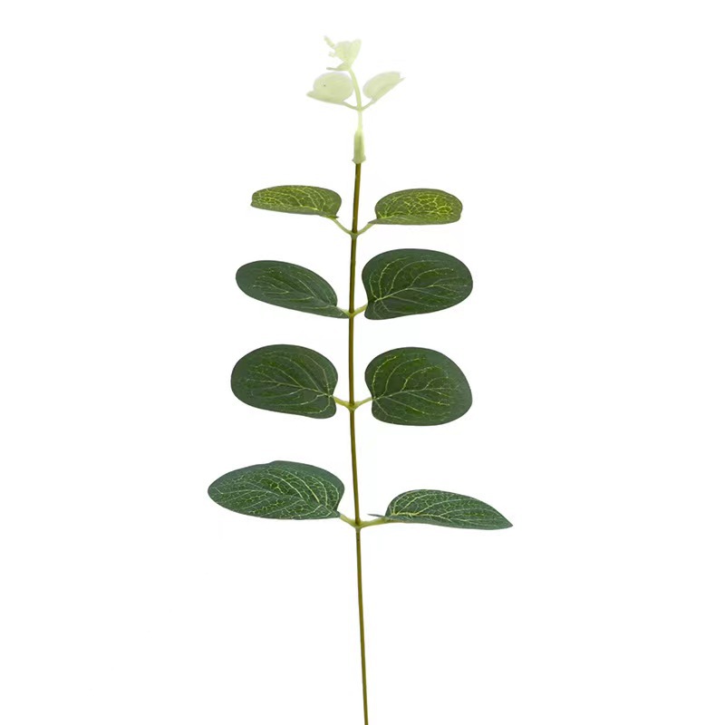 Simulation Single Money Leaf Eucalyptus Leaf ins Mori Wedding Flower Arrange Accessories Flower Arrange Decorative Leaf