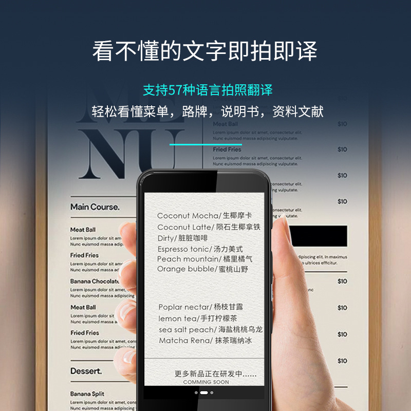 Intelligent Translator Simultaneous Translator Offline Overseas Business Travel Japanese French Vietnamese Thai Translator Pen