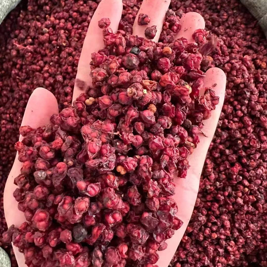 Schisandra Changbai Mountain Chinese Medicinal Materials Genuine New Seeds Northern Schisandra Powder Small Red Fruit Wild Tea Water Nourishing Franchise