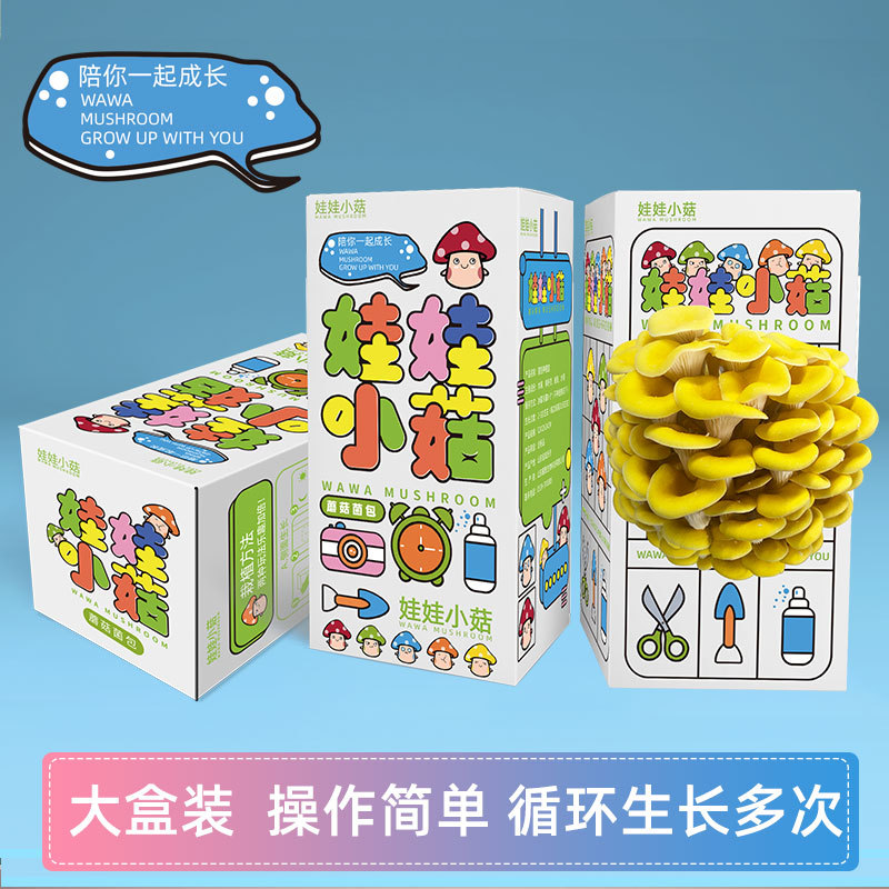 Flattened Mushroom Seedling Edible Bagged Mushroom Planting Seedling Balcony Fun Boxed DIY Children's Gift