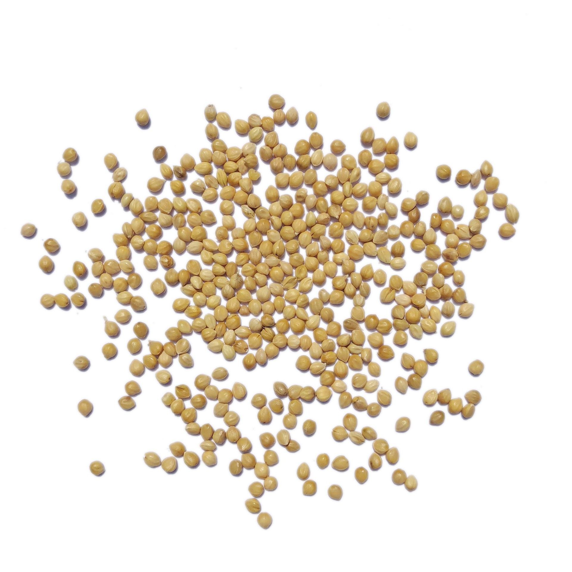 New yellow millet with shell millet tiger skin peony xuanfeng small and medium-sized parrot bird food bird feed wholesale millet