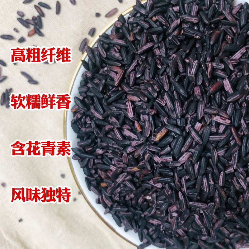 Xinhonghe Organic Purple Rice 500g Northeastern Purple Rice Multigrain Coarse Grain Purple Rice Balls Purple Rice Dew Rice Dumplings Boiled Porridge Ingredients