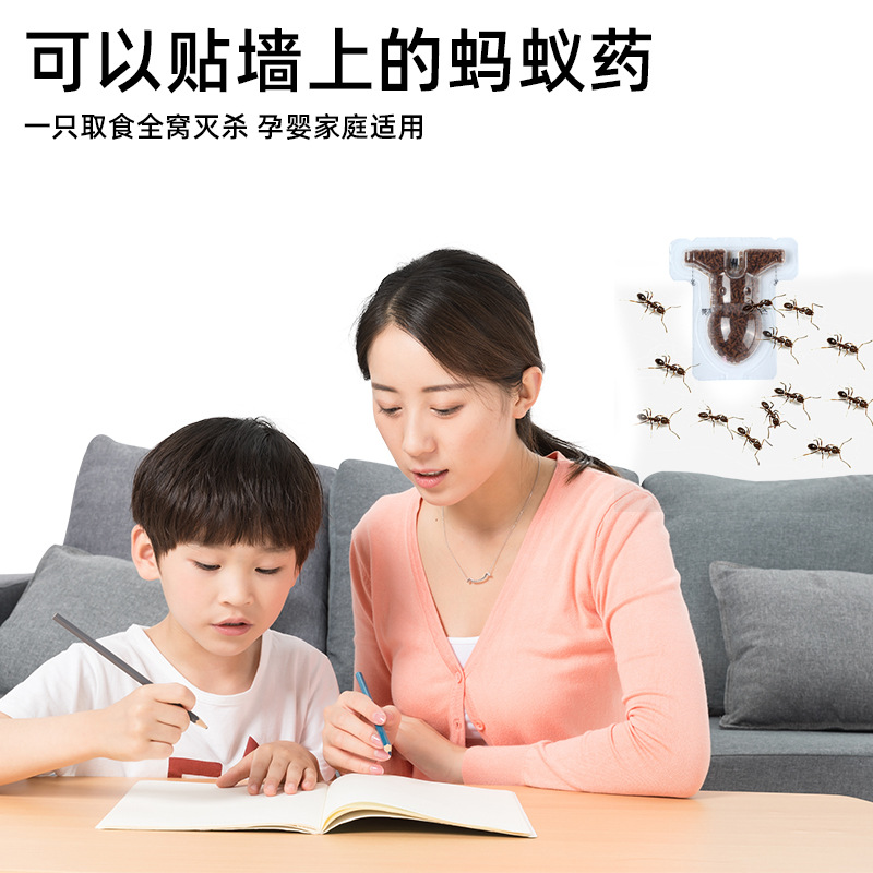 Korean Ant Medicine Powerful Special Effect Ant-Killing Bait Capsuless Fluorine Ant Fungus Household Indoor Ant Whole Nest End One Pot End Imported