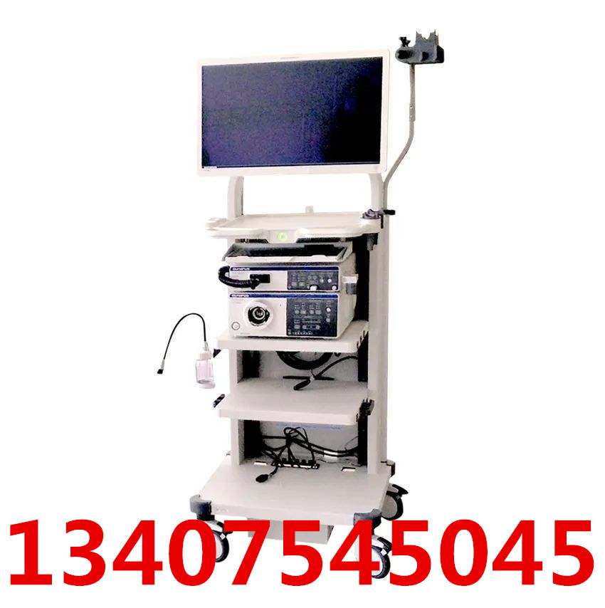 Olympus 290 Endoscopy Introduction GIF-HQ290 Gastroscopy CF-HQ290L/I Colonoscopy