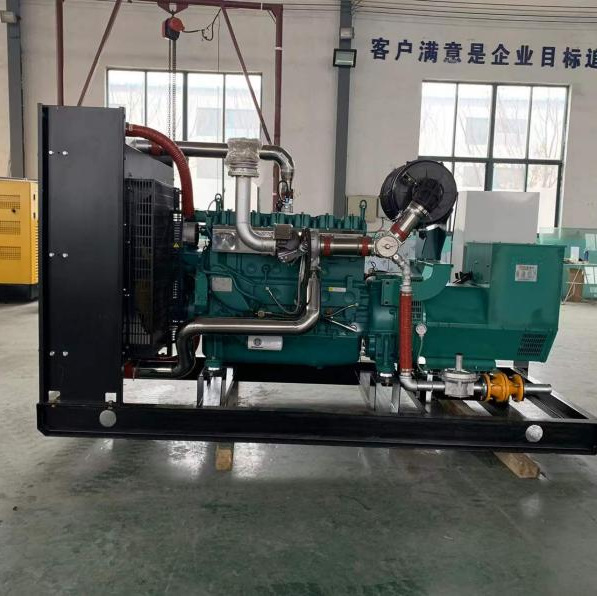 Export Liquefied Gas Russian Natural Gas Generator Set 150Kw200Kw250Kw Gas 24H Commonly Used in Factories