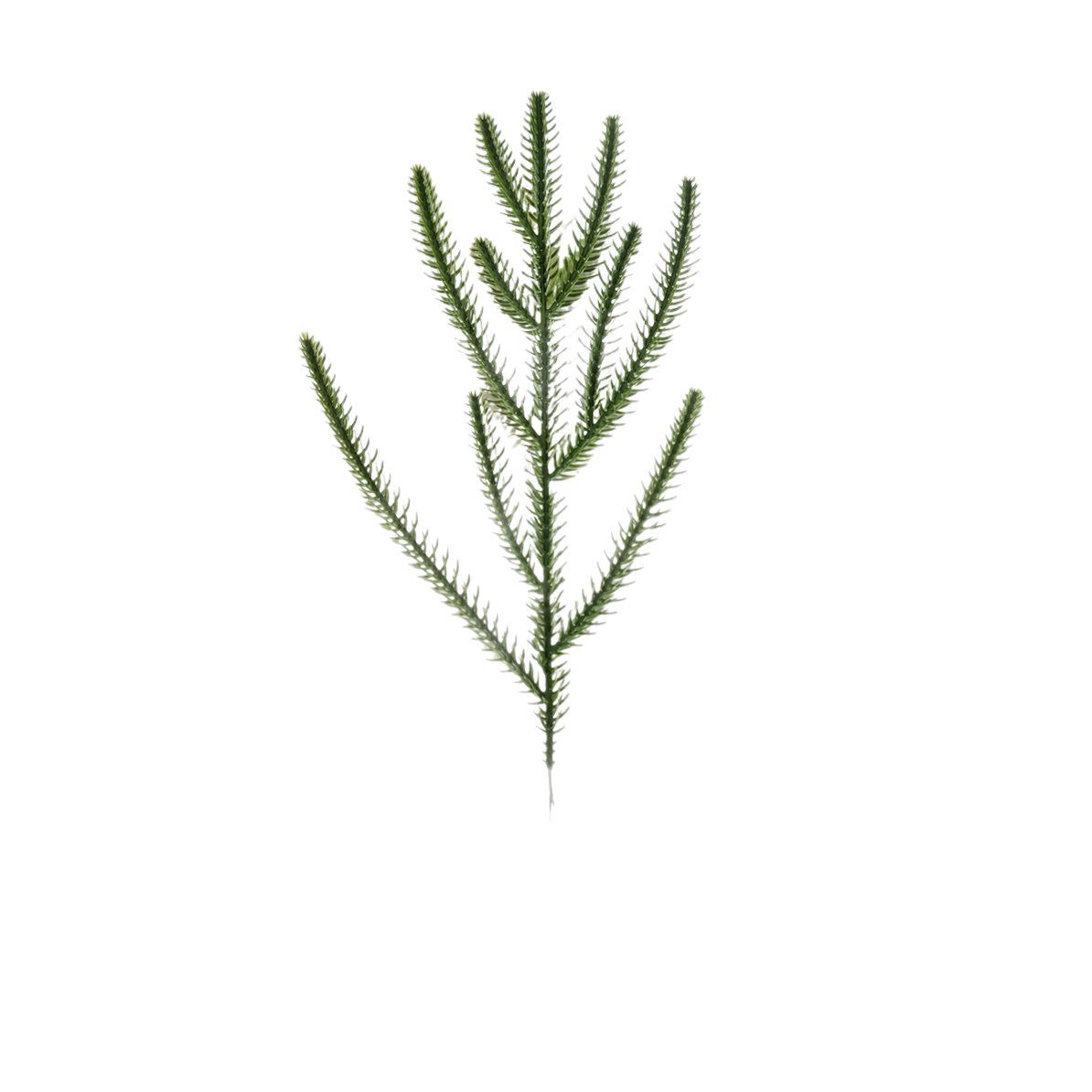 Cross-border feel soft glue simulation plant Christmas pine needle cypress leaf Christmas wreath decoration pine needle window
