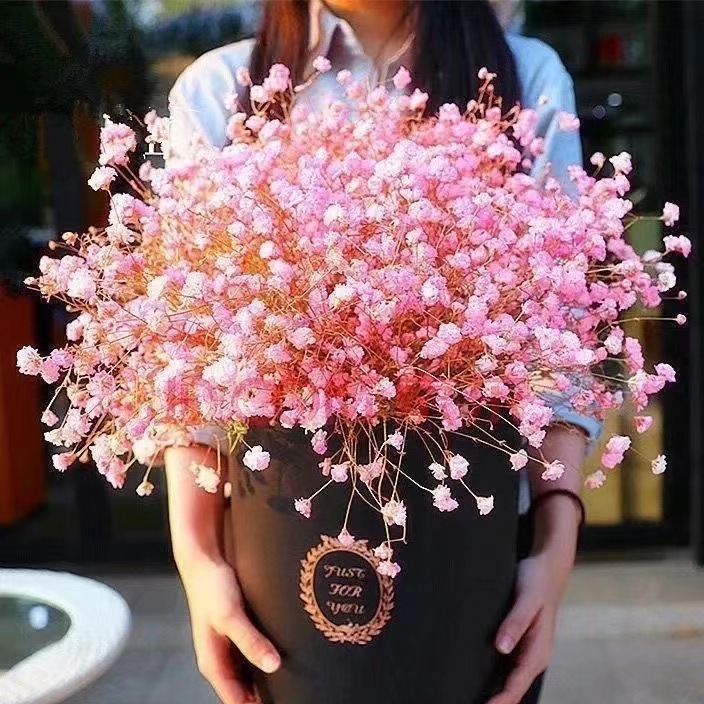 Household Seed Small Package Combination for Four Seasons Easy to Sow Home Gardening Flower Seed Factory Balcony Flower Seed