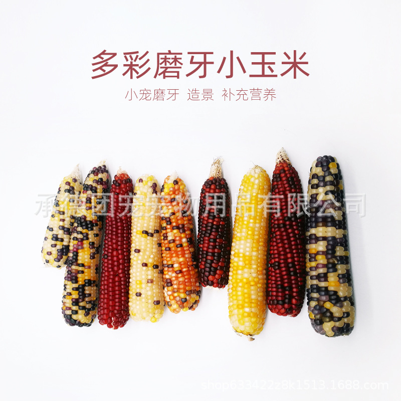 Новые мини закуски из кукурузы для хомяков, кроликов, чинок, игрушка для жевания