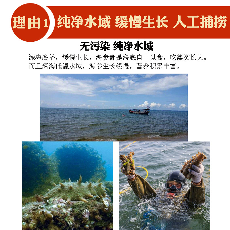 Dried Sea Cucumber, Small Dried Sea Cucumber, Non-Wild Dalian Sea Cucumber, Ready-To-Eat Gift Box, Live Streaming Dropshipping, Source Factory