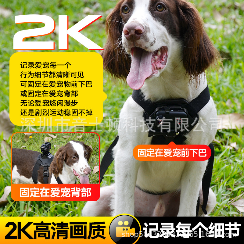 Запись для домашних животных, камера для влогов, съемка с перспективы кошек и собак