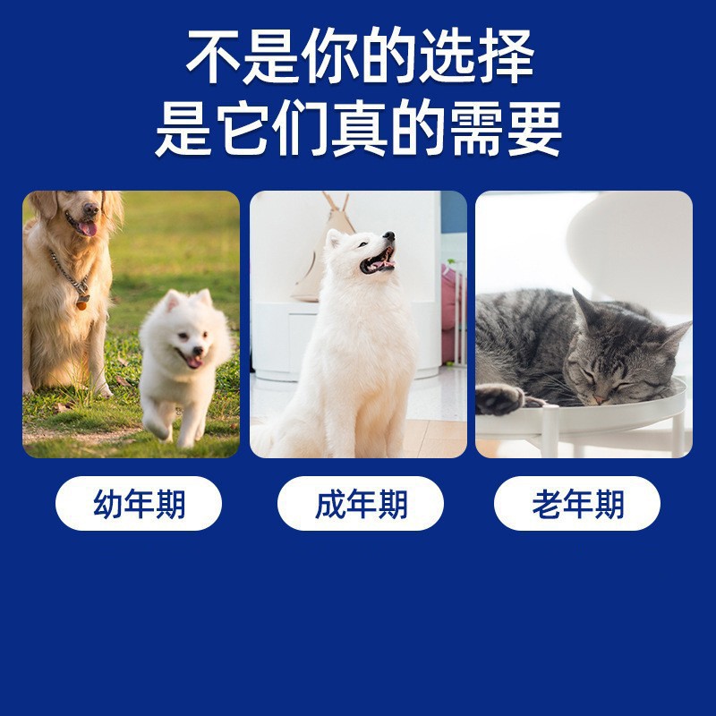 Factory Direct Sales Cat Fish Oil Pet Universal Cod Liver Oil Lecithin Deep Sea Fish Supplement Nutritional Supplies for Dogs