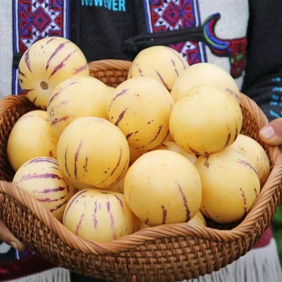 [Yunnan Stone Forest Ginseng Fruit] Ripe and Freshly Picked Yellow Round Fruits from the Tree Are Delicious 2.5kg Fresh Fruits Dropshipping